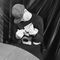 Profile Picture of James Bulley (@james.bulley.144) on Facebook