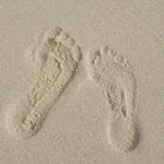 Profile Picture of Peter Hopkinson (@peterhoppies) on Instagram