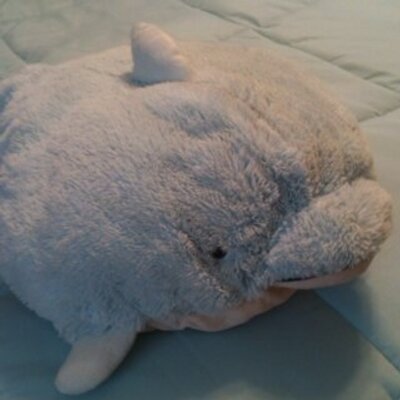 Profile Picture of Steve The Dolphin (@@steve_rubius) on Twitter