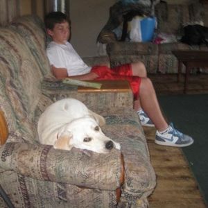 Profile Picture of Robert Jutras (@rjutras788) on Myspace