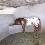 Profile Picture of HUGO VERDIN (@verdinbicho10) on Instagram