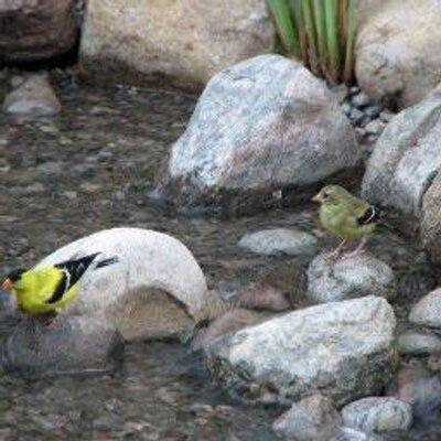 Profile Picture of Henri-Paul Jette (@PaulHpjette) on Twitter