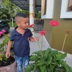 Profile Picture of Daniel Vantholl (@Daniel-Vantholl) on Facebook