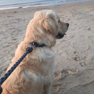 Profile Picture of Jodie Atkins (@jodie.atkins.18) on Facebook