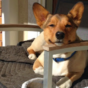 Profile Picture of Ian Hauritz (@ianhauritz5525) on Youtube