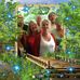 Profile Picture of JoAnne Pyle (@joanne.pyle.376) on Facebook