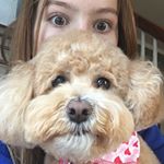 Profile Picture of Meg And Piper (@meg.piper) on Instagram