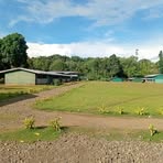 Profile Picture of Joylyn Ramo (@Joylyn-Ramo) on Facebook