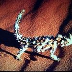 Profile Picture of Frank Keeling (@bachgammon) on Instagram