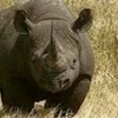 Profile Picture of Joseph Yerardi (@JYerardi) on Twitter