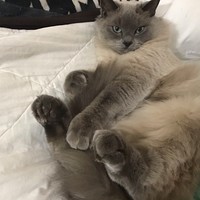 Profile Picture of Natalie Cook (@natalie-cook-97) on Quora