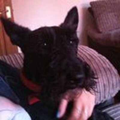 Profile Picture of Ashley Wright (@noseyash) on Twitter