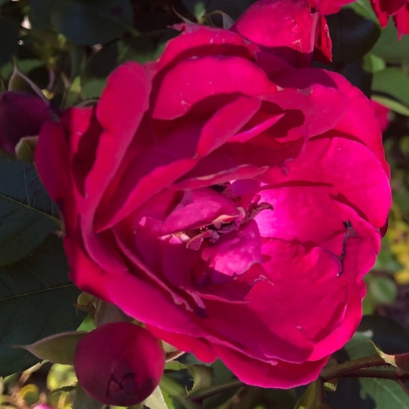 Profile Picture of Deborah Embaye (@debe83) on Poshmark