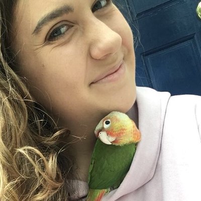 Profile Picture of Meredith Ball (@MyAvocadosGoAHH) on Twitter