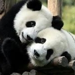 Profile Picture of Bruce Keo (@brucekeo12) on Instagram