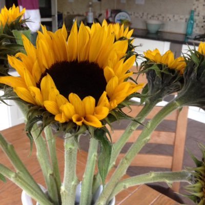 Profile Picture of Audrey Steele (@Steele5Audrey) on Twitter