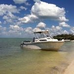 Profile Picture of Brad Newgard (@bradnewgard) on Instagram