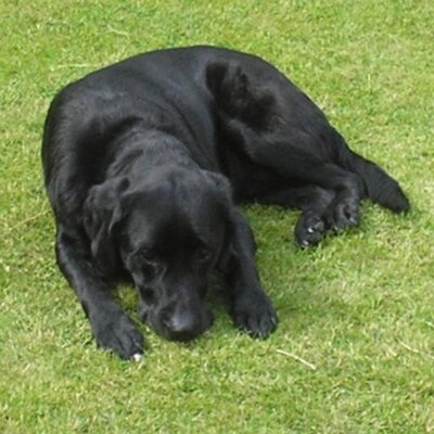 Profile Picture of Peter Neely (@Pete_GDO4) on Twitter