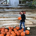 Andrew Hogarth - Instagram Profile Picture of Andrew Hogarth (@andrew.hogarth) on Instagram