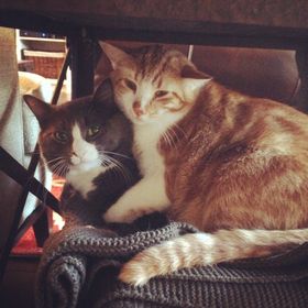 Amanda O'Brien - Pinterest Profile Picture of Amanda O'Brien (@amanda_orr) on Pinterest