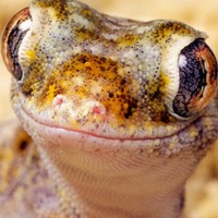 Profile Picture of Spencer Capps (@spencer-capps-1) on Quora