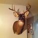 Profile Picture of Kevin Sherrell (@kevinsherrell39) on Pinterest