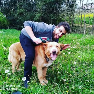 Profile Picture of Harold_M (@harold_martin) on Instagram