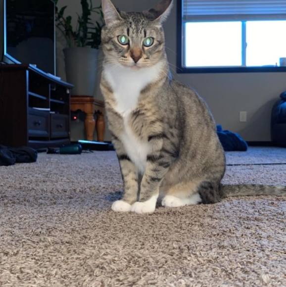 Profile Picture of Minji Feng (@minjifeng88) on Poshmark