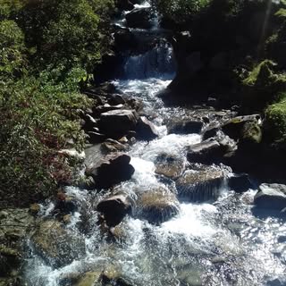 Profile Picture of Lisa Groene (@lisa_groene) on Instagram