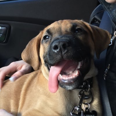 Profile Picture of patrick aris (@patmanjones2) on Twitter