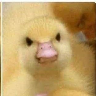 Profile Picture of OKen (@KenDarjan) on Twitter