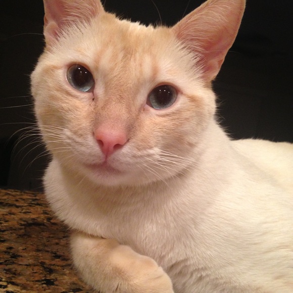 Brianna Lindsey - Poshmark Profile Picture of Brianna Lindsey (@briannabri13) on Poshmark