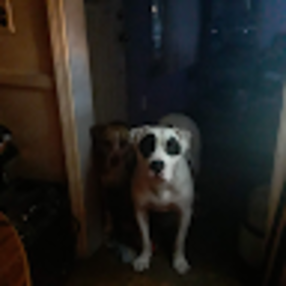 Profile Picture of Jefff Fahey (@jeffffahey) on Poshmark