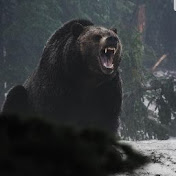 Cedric Spears - Youtube Profile Picture of Cedric Spears (@cedricspears8945) on Youtube