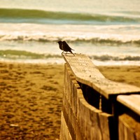 Profile Picture of Barbara Iandolo (@barbara-iandolo) on Quora