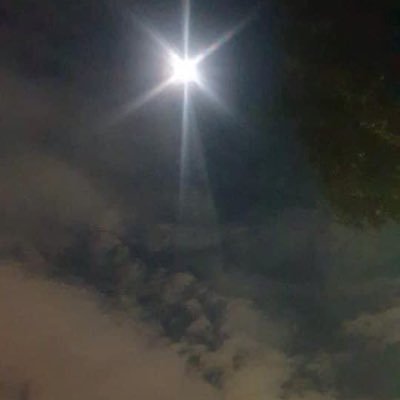 Profile Picture of Marilyn Mauer (@mauer_marilyn) on Twitter