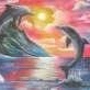Profile Picture of Rose Console (@dolphinchaser1971) on Myspace