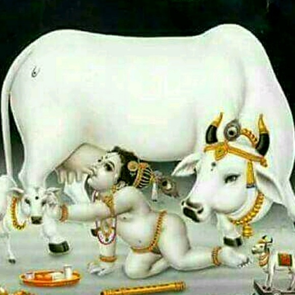 Profile Picture of Satheeshbabu Nair (@satheesh2008) on Poshmark