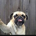 Profile Picture of Darren Roberson (@robersondarren) on Instagram