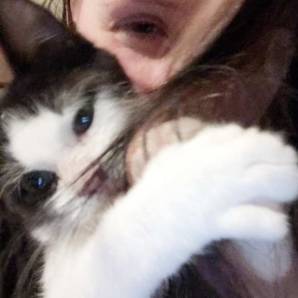 Profile Picture of Jesse Probst (@cultycrafts) on Poshmark