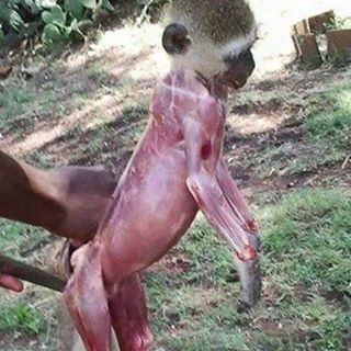 Profile Picture of Brian Jonga (@brian.jonga.7) on Facebook