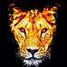 Profile Picture of Adam Sam (@adam.sam.9421450) on Facebook