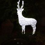 Profile Picture of Paula Rutherford (@paula.rutherford) on Instagram