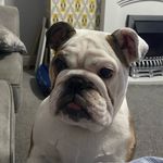 Profile Picture of Ryan Ramsay (@r.rams83) on Instagram