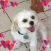 Profile Picture of Clarence Rowe (@clarence.rowe.3) on Facebook