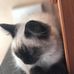 Profile Picture of Julie Wetherall (@Julie-Wetherall) on Facebook