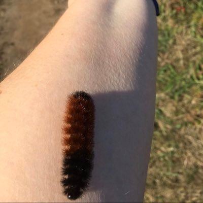 Profile Picture of Jess Labrie (@jezebelpvd) on Twitter