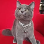 Collete Max - Facebook Profile Picture of Collete Max (@collete.max) on Facebook