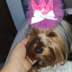 Profile Picture of Marla Daniela (@Marla-Daniela) on Facebook