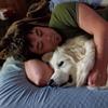 Profile Picture of Kent Allen (@@kentallen10) on Tiktok